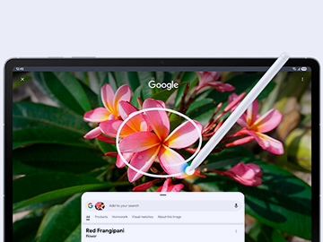 Contratar Samsung Galaxy Tab S10 FE+ 5G para Empresas