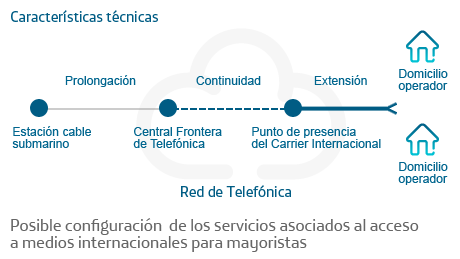 Esquema servicio de continuidad
