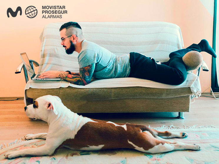 mejor alarma hogar con mascotas