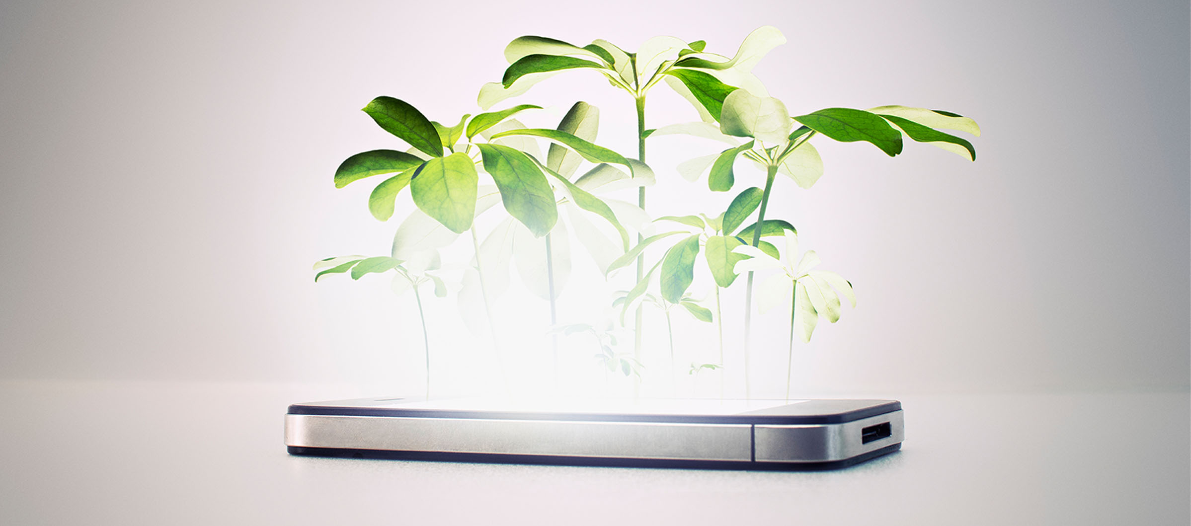 movil%20con%20brotes%20de%20planta%20encima