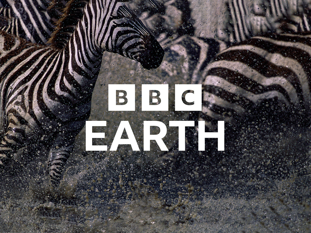 oferta bbc player